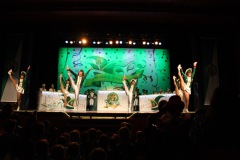 2.-Galakappensitzung_070220266450-Large