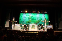 2.-Galakappensitzung_070220266451-Large