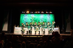 2.-Galakappensitzung_070220266455-Large