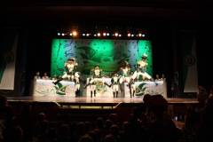 2.-Galakappensitzung_070220266461-Large