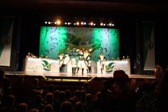 2.-Galakappensitzung_070220266462-Large