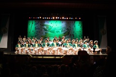 2.-Galakappensitzung_070220266472-Large