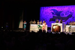 2.-Galakappensitzung_070220266482-Large