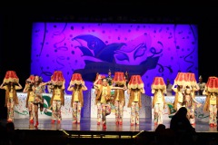 2.-Galakappensitzung_070220266488-Large