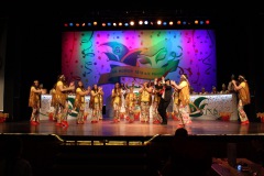 2.-Galakappensitzung_070220266492-Large