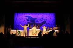 2.-Galakappensitzung_070220266498-Large