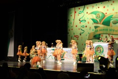 2.-Galakappensitzung_070220266515-Large