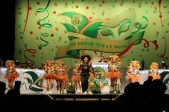 2.-Galakappensitzung_070220266524-Large