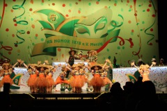 2.-Galakappensitzung_070220266525-Large