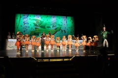 2.-Galakappensitzung_070220266528-Large