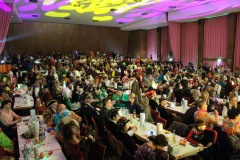 2.-Galakappensitzung_070220266594-Large