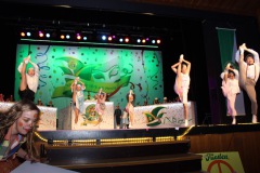 2.-Galakappensitzung_070220266622-Large