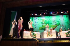 2.-Galakappensitzung_070220266624-Large