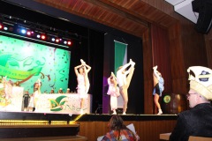 2.-Galakappensitzung_070220266625-Large