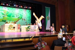 2.-Galakappensitzung_070220266629-Large