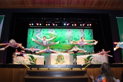 2.-Galakappensitzung_070220266640-Large