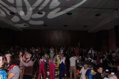 2.-Galakappensitzung_070220266716-Large