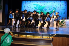 2.-Galakappensitzung_070220266759-Large