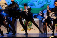 2.-Galakappensitzung_070220266762-Large