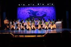 2.-Galakappensitzung_070220266781-Large