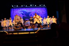 2.-Galakappensitzung_070220266782-Large