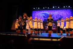 2.-Galakappensitzung_070220266786-Large