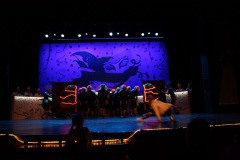 2.-Galakappensitzung_070220266787-Large