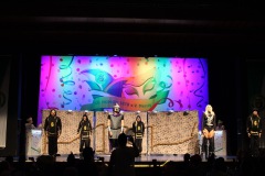 2.-Galakappensitzung_070220266818-Large