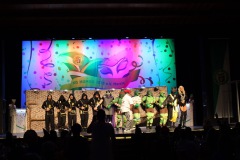 2.-Galakappensitzung_070220266824-Large