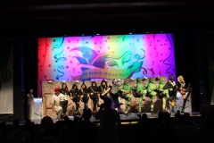 2.-Galakappensitzung_070220266825-Large