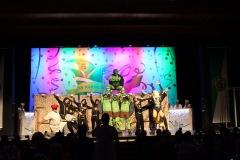 2.-Galakappensitzung_070220266826-Large