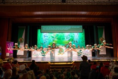 3_Galakappensitzung_0802202612330-Large