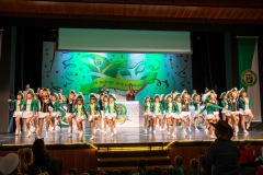 3_Galakappensitzung_0802202612359-Large