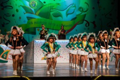 3_Galakappensitzung_0802202612361-Large