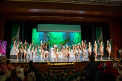 3_Galakappensitzung_0802202612364-Large