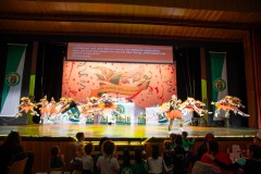 3_Galakappensitzung_0802202612417-Large