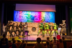 3_Galakappensitzung_0802202612520-Large