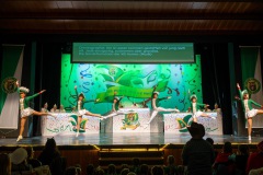 3_Galakappensitzung_080220264974-Large