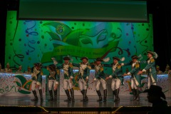 3_Galakappensitzung_080220265016-Large