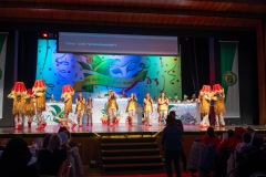 3_Galakappensitzung_080220265131-Large