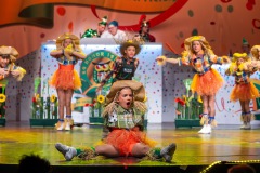 3_Galakappensitzung_080220265191-Large