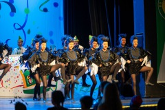 3_Galakappensitzung_080220265784-Large